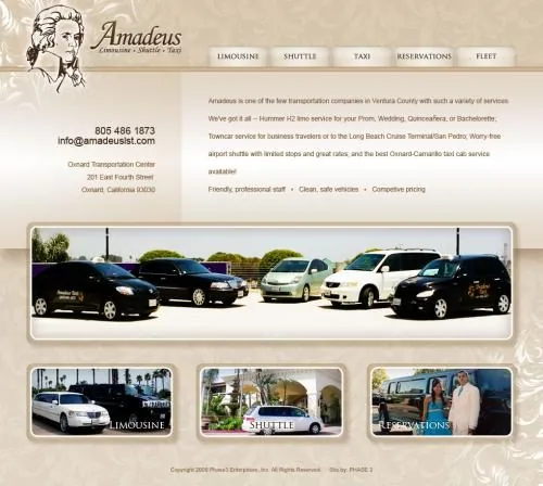 Amadeus website project
