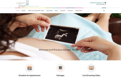Apreciousglimpse website project