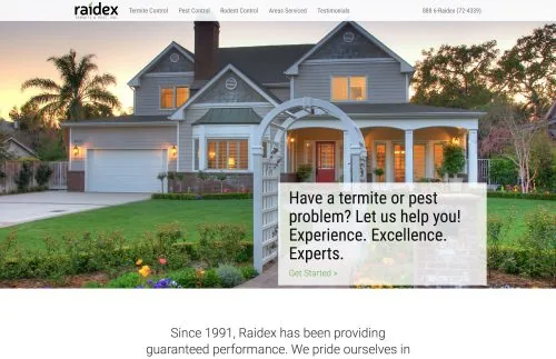 Raidex website project