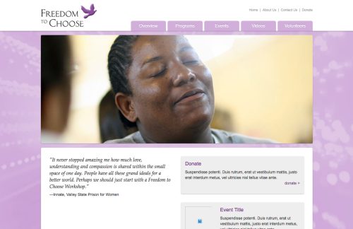 Freedomofchoice website project