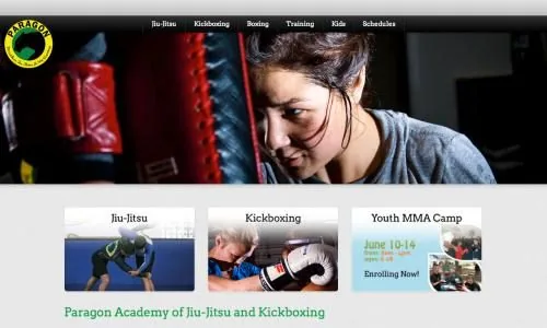 Paragonbjj website project