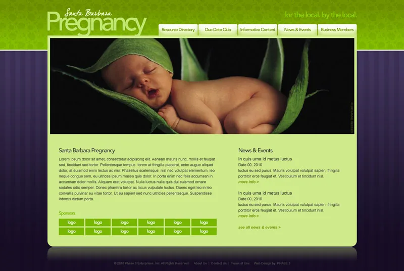Santa Barbara Pregnancy Center website project